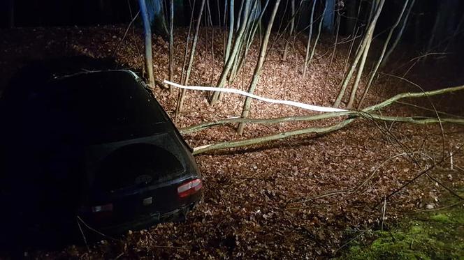 Kierowca z drogi i wjechał do rowu. Potrzebna była interwencja straży pożarnej