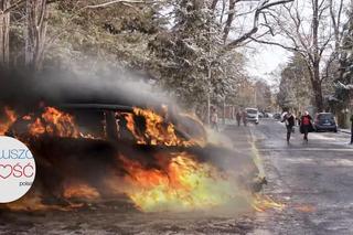 	Pierwsza miłość odc. 3763. Marta (Honorata Witańska), Marysia (Aneta Zając)