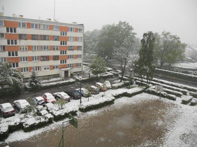 Chojnów - śnieg padający w maju