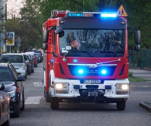 Pożar wiaty śmietnikowej w Poznaniu! W środku znaleziono zwłoki 