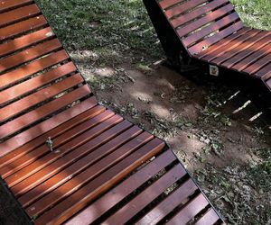 Park Lawendowy na osiedlu TBS w Białymstoku