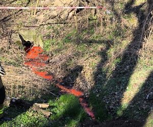 Woda w potoku Wątok w Tarnowie zmieniła kolor na czerwony. Policja prowadzi śledztwo