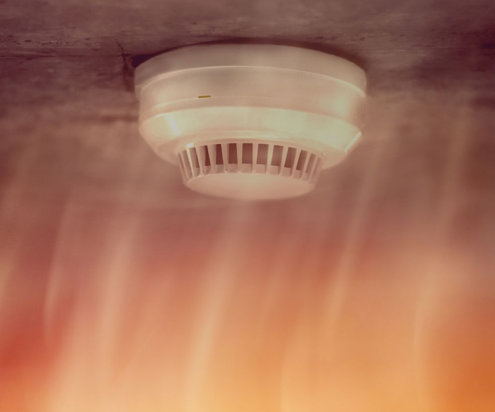 Systemy zabezpieczeń osób i mienia