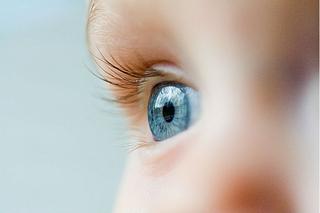 Wady wzroku u dzieci i młodzieży: jak je wykryć, jak leczyć?