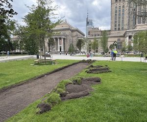 Absurd roku w Warszawie. Zrywają zieleń na nowym pl. Centralnym. Zamiast niej będzie beton