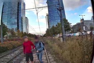 Wstrząsające nagranie w tramwaju. Rowerzysta przejechał na czerwonym świetle przez pasy