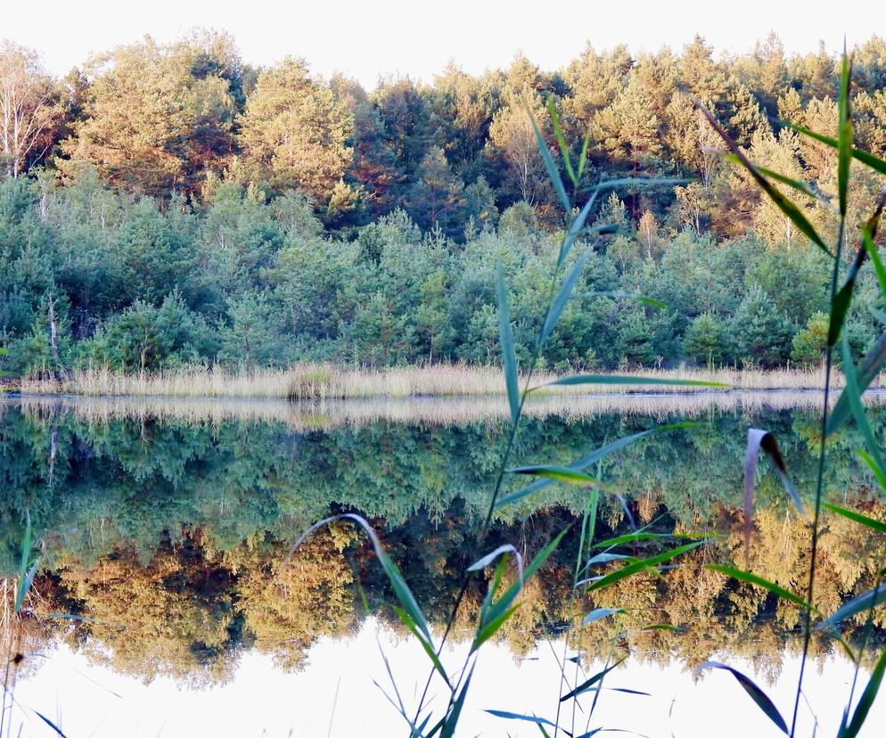 Jezioro Elżbiety