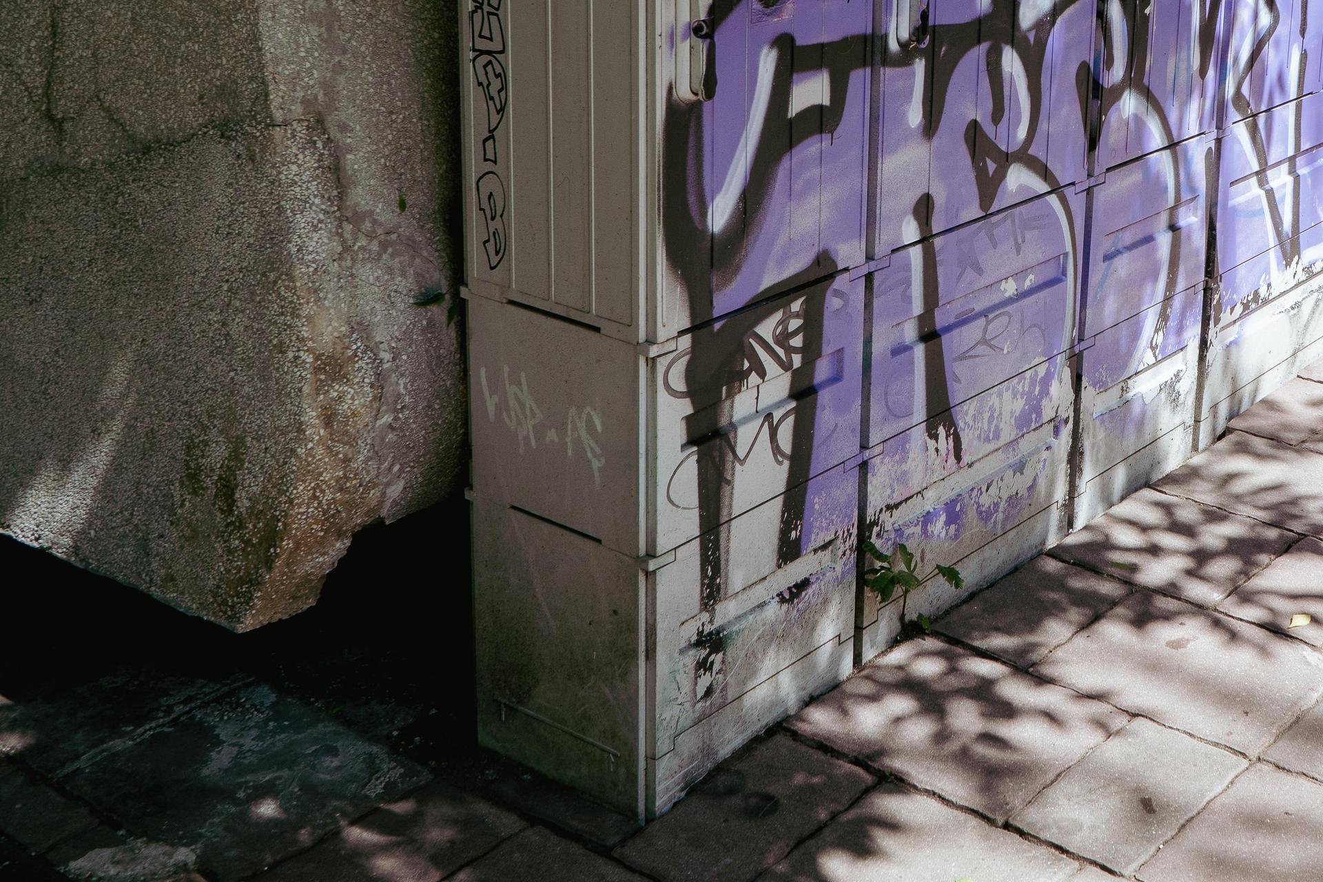 Skrzynkoza pod Bunkrem Sztuki w Krakowie - zdjęcia