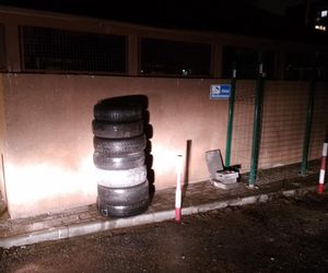 Fotopułaki zdają egzamin
