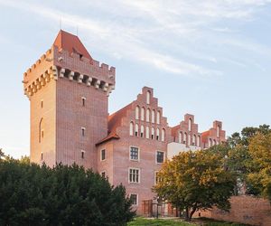 Najpiękniejsze zamki w Wielkopolsce. Te miejsca warto odwiedzić w weekend [ZDJĘCIA]