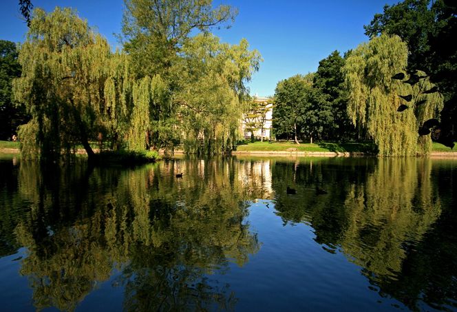 Mińsk Mazowiecki -  ok. 10 000 zł/m²