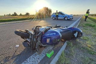 38-letni motocyklista nie żyje. Z okolicznych pól wybiegł łoś. Tragiczny wypadek na obwodnicy Kraśnika