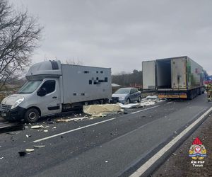 Wypadek na D10 pomiędzy Bydgoszczą a Toruniem. Zderzyły się cztery pojazdy. Jedna osoba nie żyje [ZDJĘCIA]