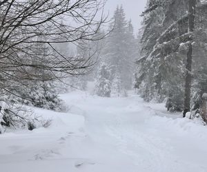 Załamanie pogody i powrót zimy. Znamy datę