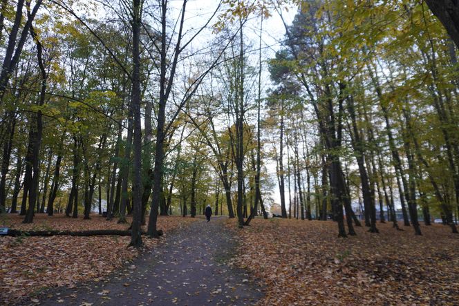 Park Lubomirskich w Białymstoku jesienią 