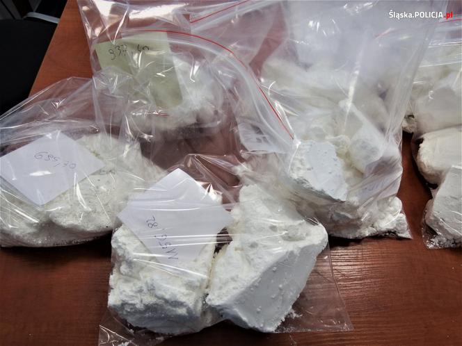 Śląskie: Piękny ogród działkowy krył tajemnicę. Zamiast kwiatów, amfetamina