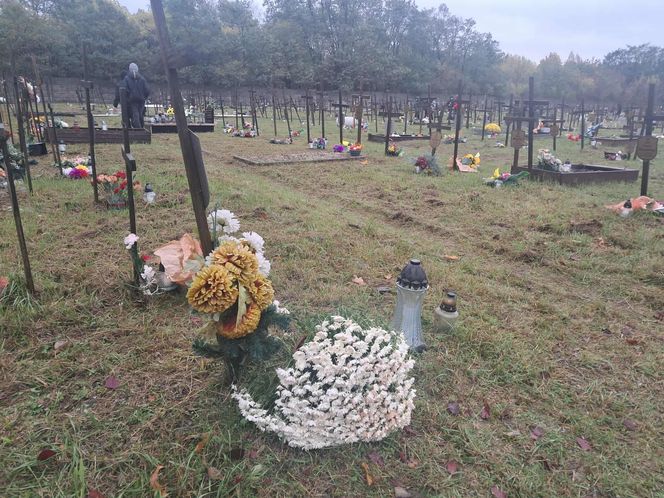 Rekordowa akcja "Światełko Pamięci". Uczniowie z Łodzi porządkowali opuszczone groby