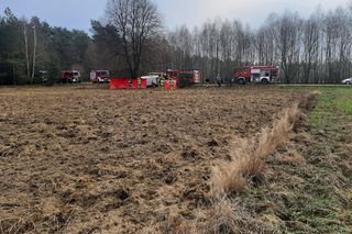 Wypadek w Woli Okrzejskiej