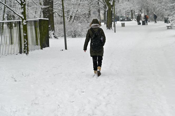 Śnieżny Szczecin 