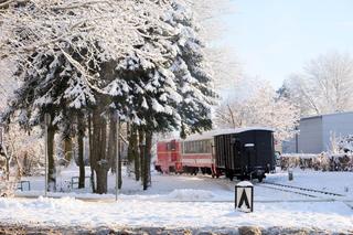 Mikołajkowa podróż Koszalińską Koleją Wąskotorową 