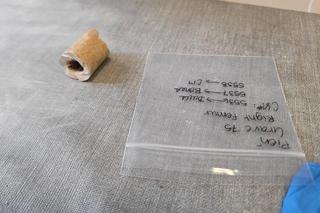 Próbki ze szkieletów z pochówków antywampirycznych znalezionych pod Bydgoszczą pojechały do Nowego Meksyku [ZDJĘCIA]