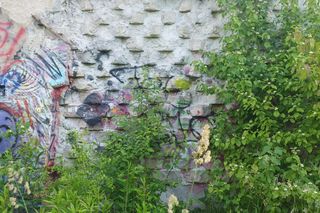 Opuszczona owczarnia w Fordonie. Obcym nie jest łatwo tam trafić. Legendy mówią, że kiedyś rządzili tam sataniści 