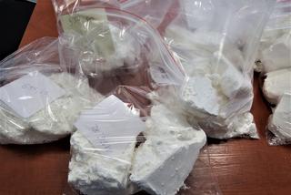 Śląskie: Piękny ogród działkowy krył tajemnicę. Zamiast kwiatów, amfetamina