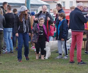 Piknik Wiejskiej Żywności, czyli radosne biesiadowanie w Fordonie [ZDJĘCIA] 