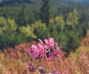 Tatry jesienią 2025