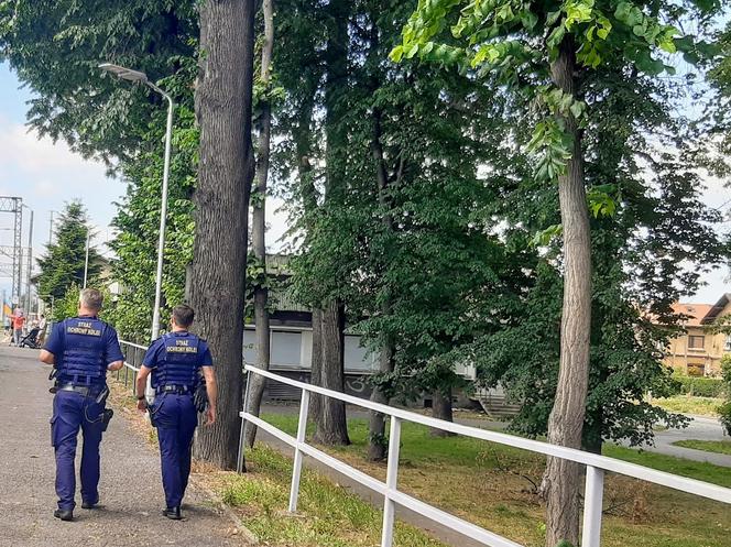 Straż Ochrony Kolei nie ma wolnych wakacji