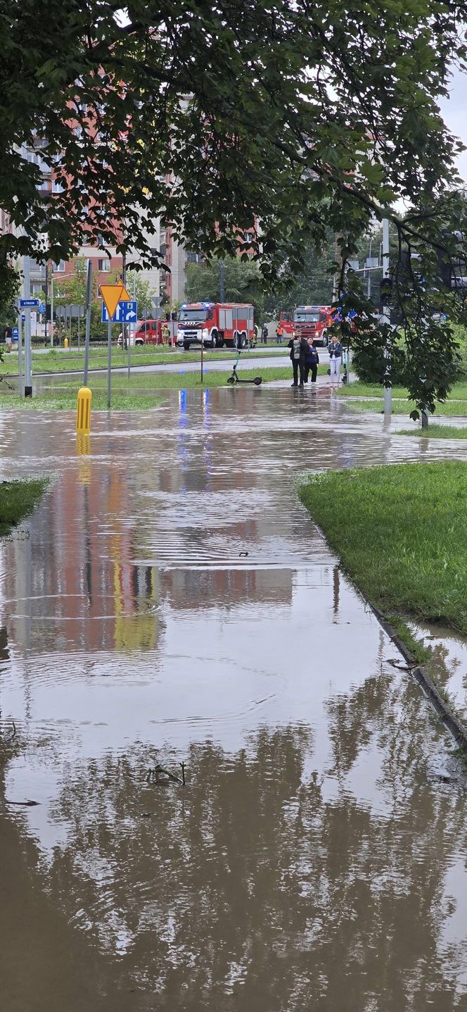 W Elblągu wylała rzeka. Wprowadzono stan pogotowia przeciwpowodziowego. „Każdy z nas się boi”