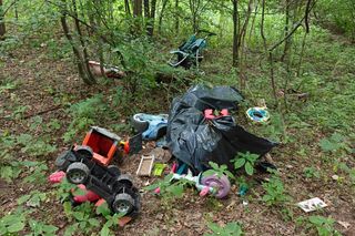 Zgroza w lesie pod Świeciem! Martwy pies w worku foliowym ze związanymi łapami. Policja szuka sprawcy bestialskiego czynu