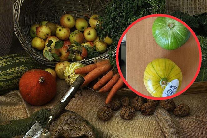Całkiem nowe warzywo na polskim rynku. To efekt pracy naukowców!
