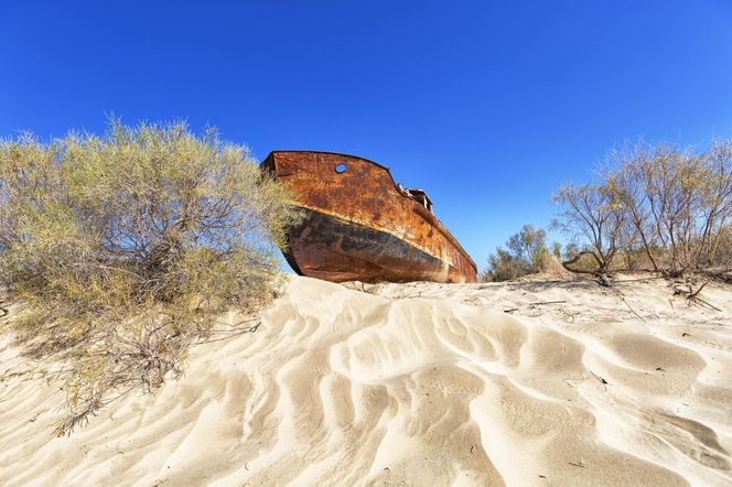 To największa katastrofa ekologiczna w dziejach. "Każdy podmuch wiatru jest potencjalnym atakiem chemicznym"