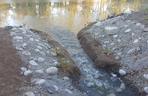 Wyremontowany Park Grabek w Czeladzi