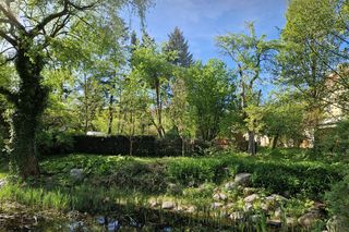 Wiosna w Ogrodzie Botanicznym UKW, czyli spacer wśród zieleni