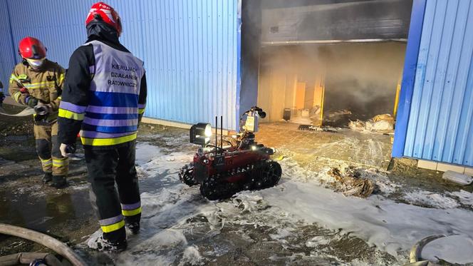 Pożar magazynu meblowego w Lublinie. Hala doszczętnie spłonęła [7.02.2023]