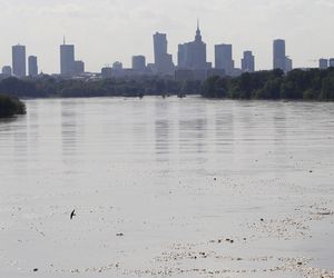 Widok na wieżowce z Mostu Siekierkowskiego w 2014 roku