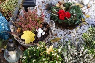 Tak wygląda grób Mariana Zembali. Cały Śląsk tęskni za wybitnym kardiochirurgiem