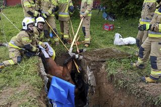 Strzyżów. Koń w dole