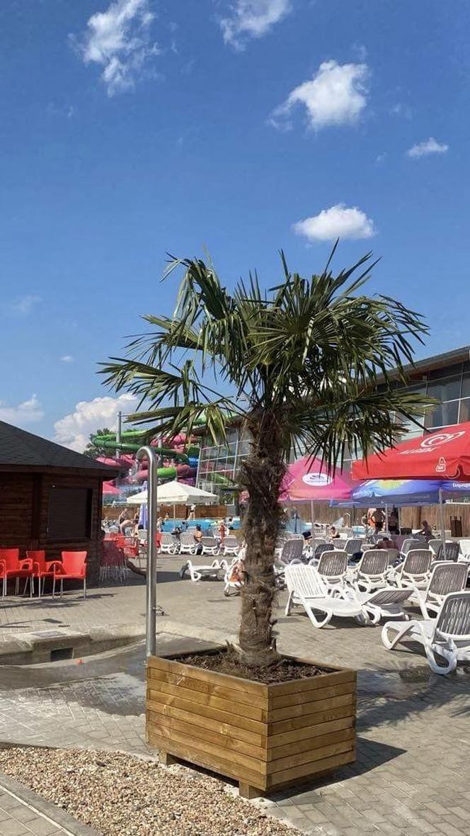 ESKA Summer City na Dolnym Śląsku. Tydzień pierwszy