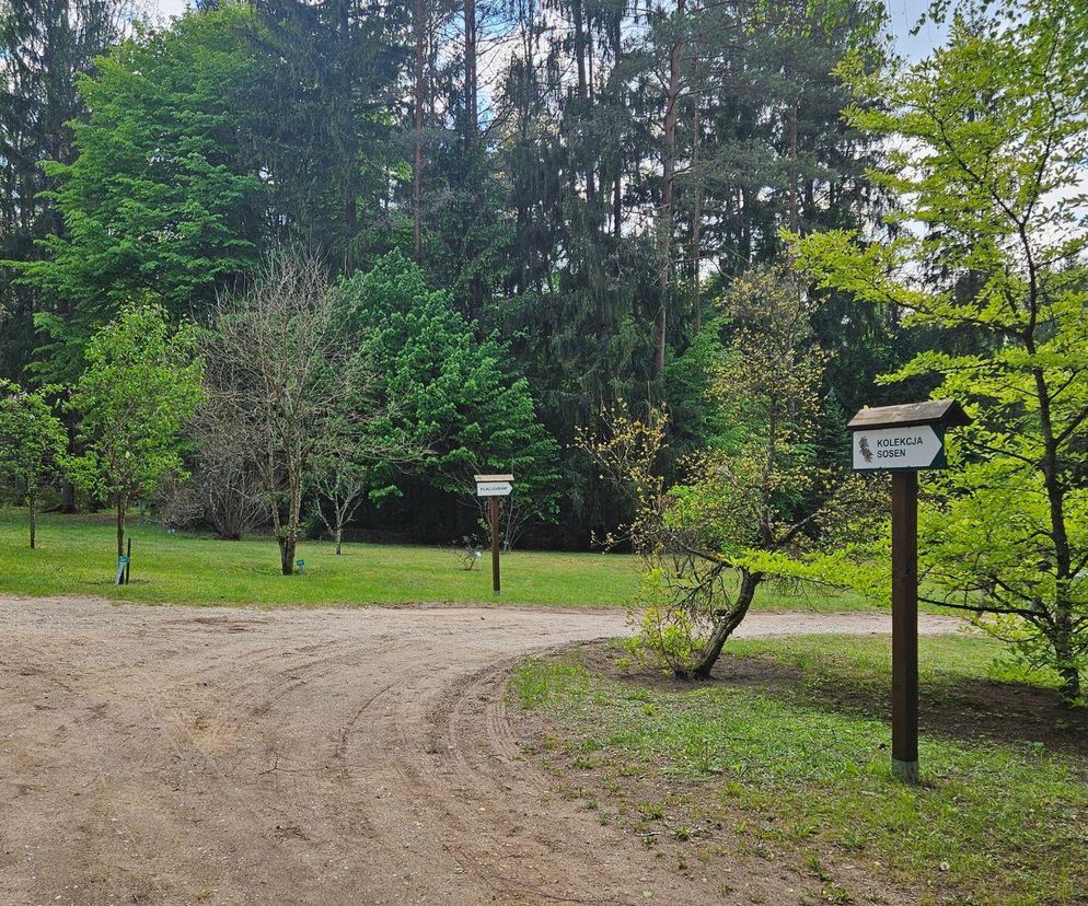 Odwiedziłem kultowe miejsce, gdzie odbywa się co druga sesja foto w Podlaskiem. Czy jest przereklamowane?