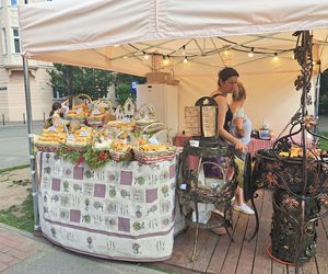 Smoczy Piknik Rodzinny 2025 w Krakowie
