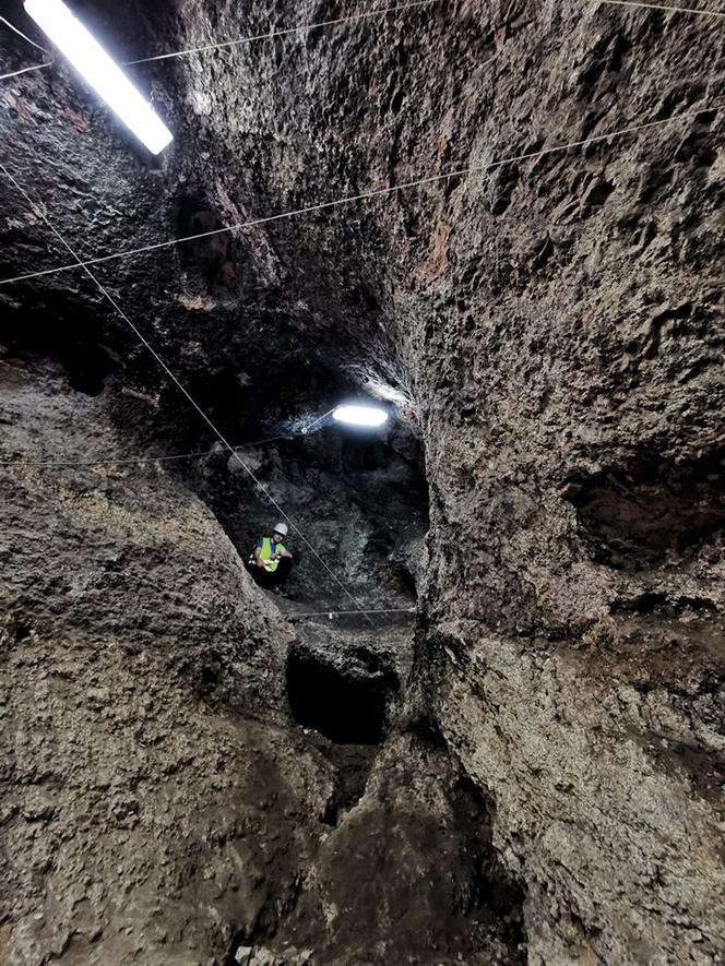 Niezwykłe odkrycie na Jurze. Archeolodzy znaleźli sieć ukrytych jaskiń, a w nich stare szczątki zwierząt [ZDJĘCIA]