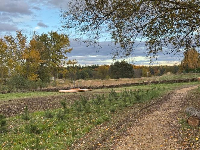 Serenity Park w Mysłowicach to nowe miejsce wypoczynku na Śląsku