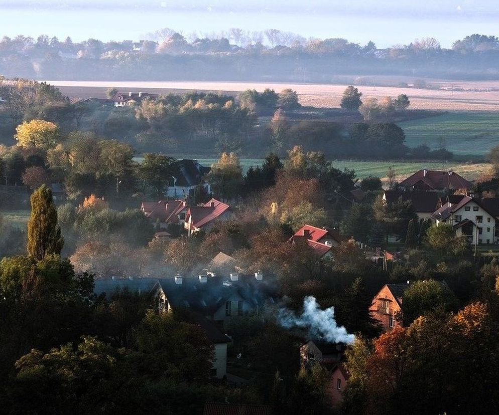 smog