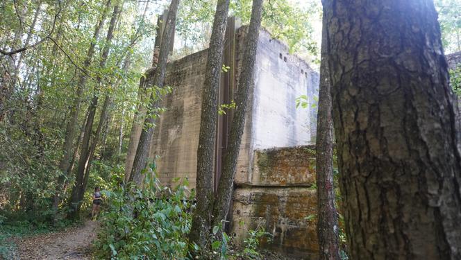 Monumentalna śluza Leśniewo z symbolami III Rzeszy ukryta w mazurskim lesie. Jest owiana tajemnicą [ZDJĘCIA]