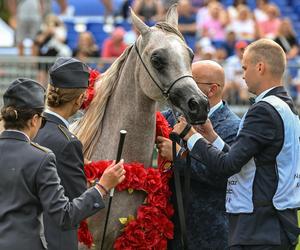 Prawie 640 tys. euro za konie na aukcji Pride of Poland