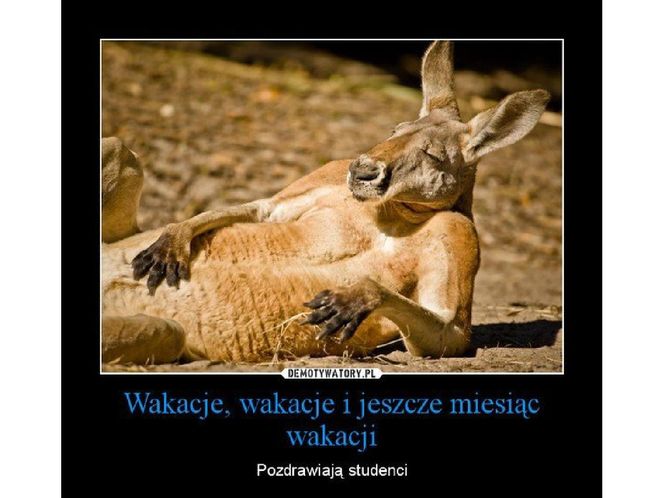 Memy o szkole i końcu wakacji