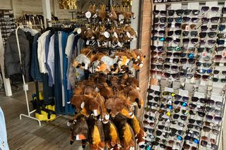 Kapibary w Krynicy Morskiej - ceny 